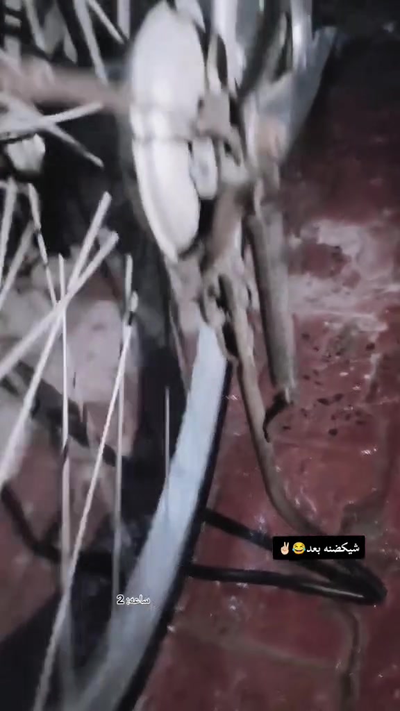 بايسكل ٢٦ • نضيف • زنجيل مكطوع