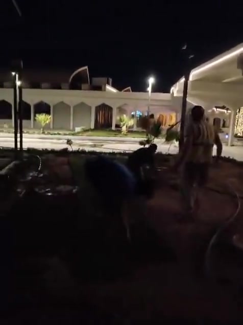 تجهيز ثيل جميع انواع الهندي وايطالي والفرنسي باسعار مناسبه للمزارع والملاعب ودوائر الدوله وحدائق المنزليه
العنوان بغداد سبع ابكار شارع المعارض مقابل الوقف السني 
أبو كرار ***********
كرار ***********
@إشارة
