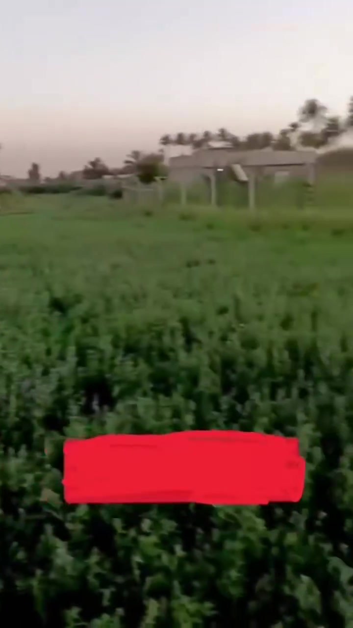 يا الله نصف دونم زراعي سند 25..واجها 30 مخدوم مثل ماواظح تحولي بسم المشتري كافه الخدمات عن التبليط 150متر المكان ااطوريج الخيرات السعر 40وبي مجال للشراي 

*********** اتصل وتدلل
