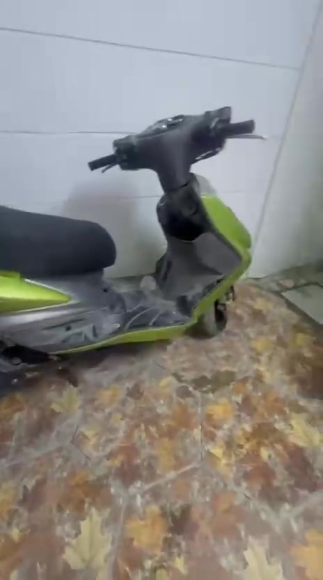 سكنس فحل • نوزل خطين • نازله من الرمبه