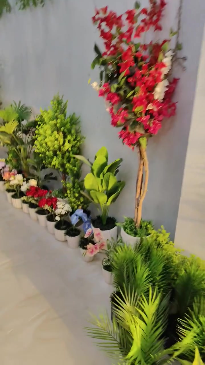 اشجار جديده • حي الشرطه • مجاور جامع الشكور