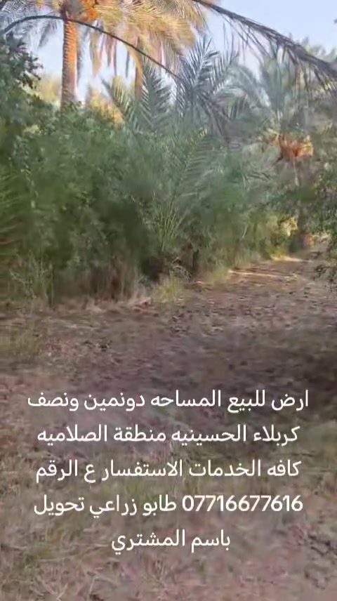 أرض • كربلاء السلامية • ٦٢٥٠م