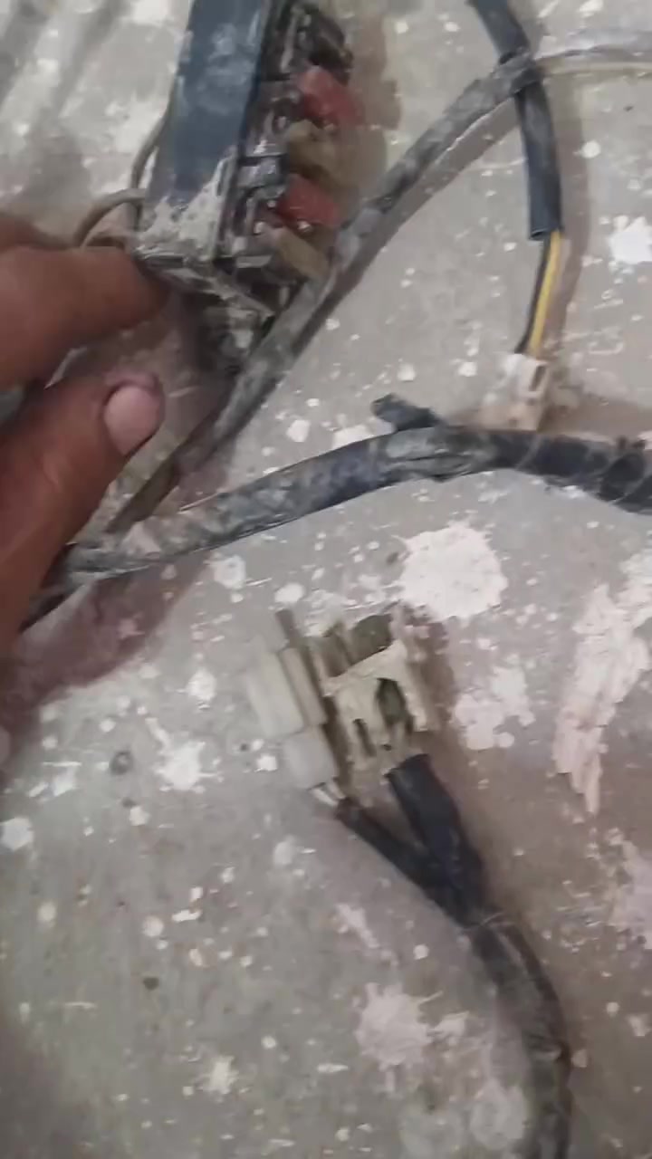 ضفيره • عقل سكنز • كوت المشروع