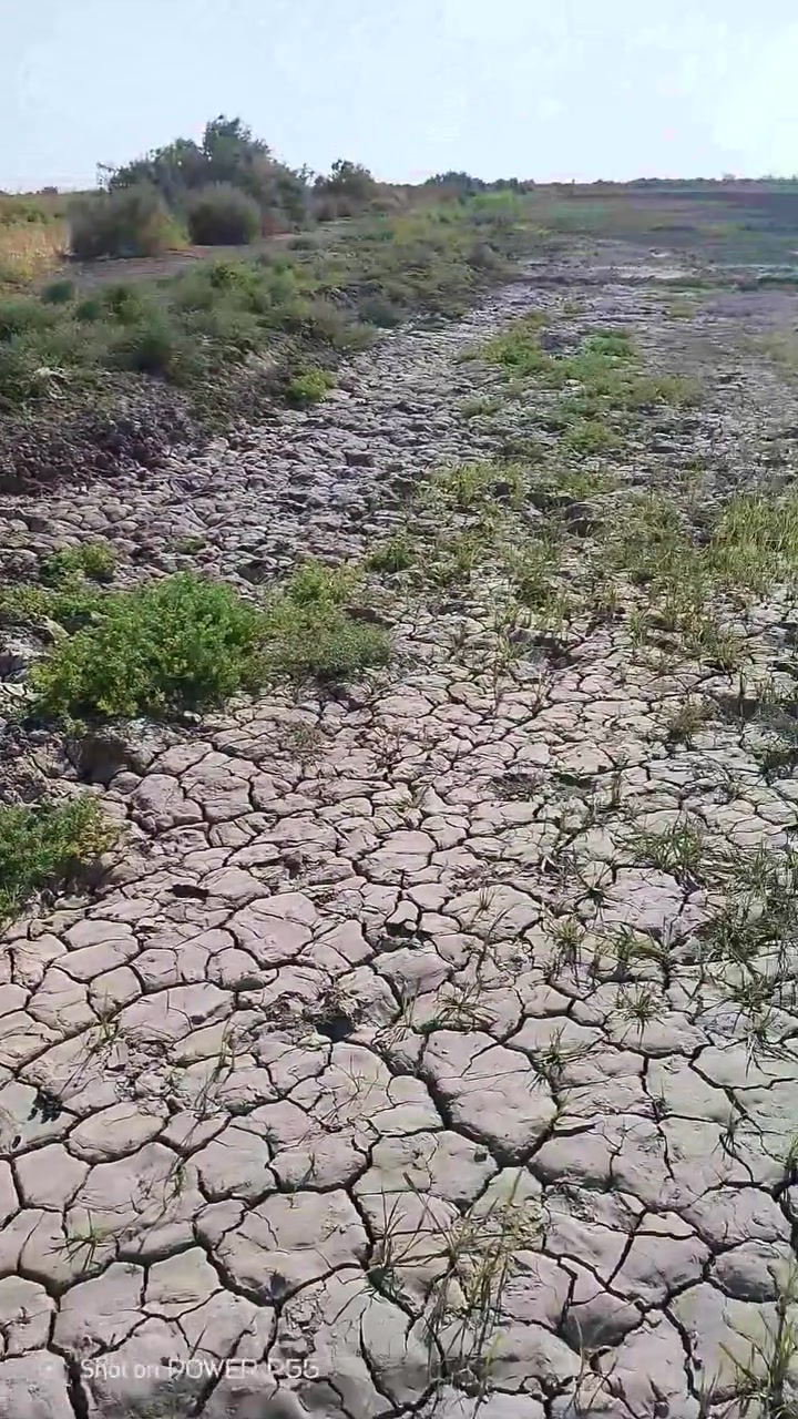 السلام عليكم كاع ٥٠دونم البيع ***********
