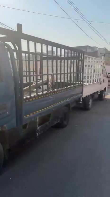 مدرسه دجلة الخير
رفع الانقاض  
اخوكم أبو جعفر ***********

نص مكتوب في الصور:
- ***********