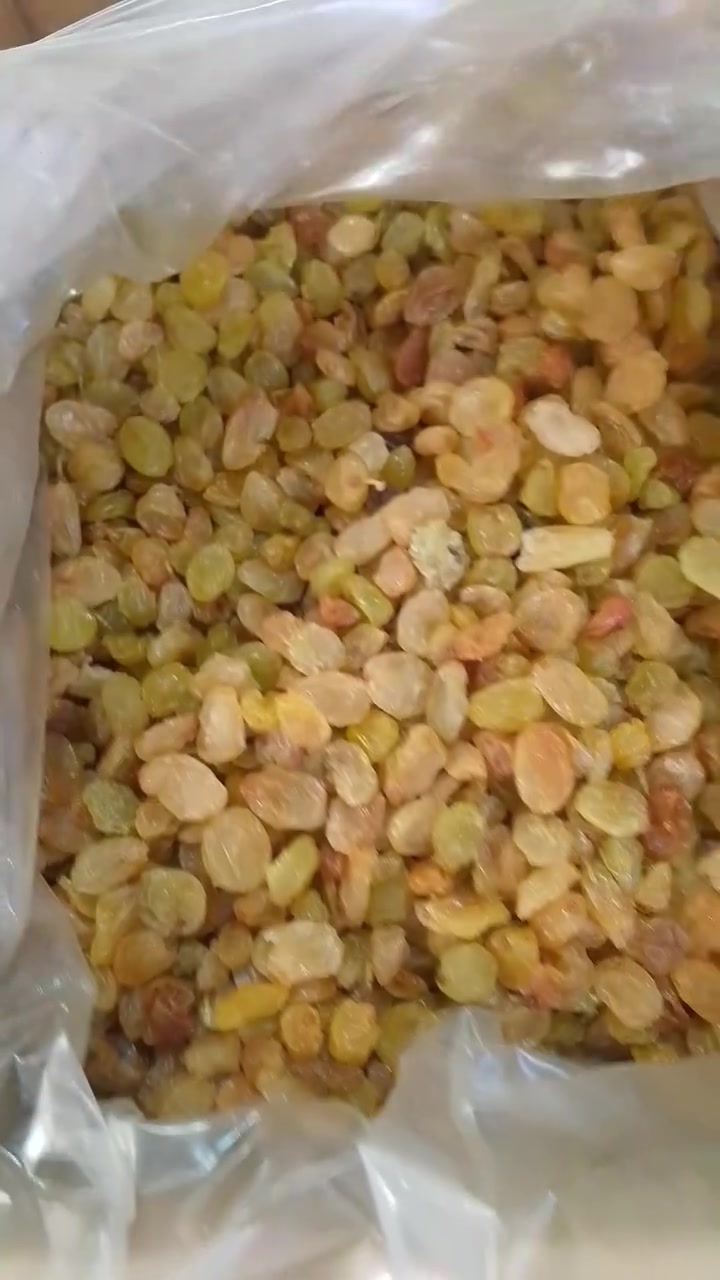عروض غذائية • ألبان أجبان بيض • شارع الصنين