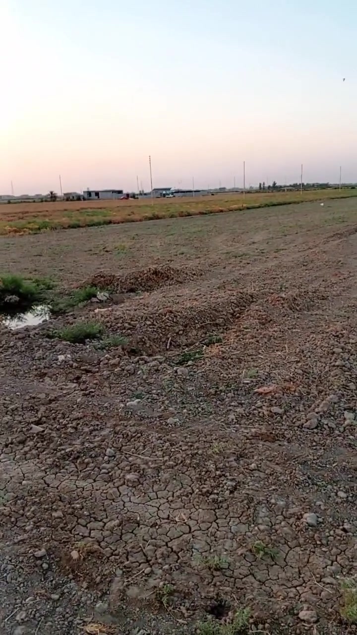 سلام عليكم يوجد قطع و دوانم للبيع طابو زراعي سند 25 يتوفر ماء وكهرباء شارع 10 متر خان بني سعد قريت السيح خلف معمل الغاز والاتصال ع الرقم ***********
