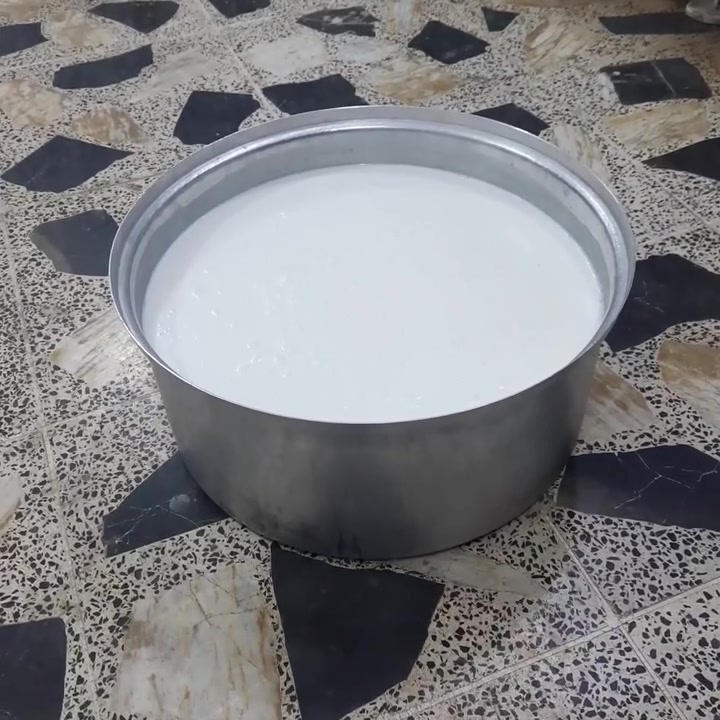 حليب جاموس • دبة ١٠لتر • توصيل الكوت