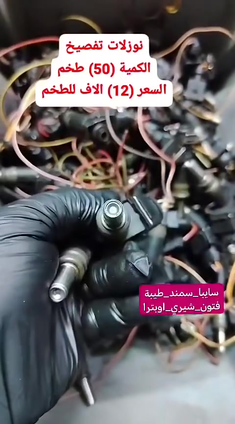 نوزلات • مراوح • جملة
