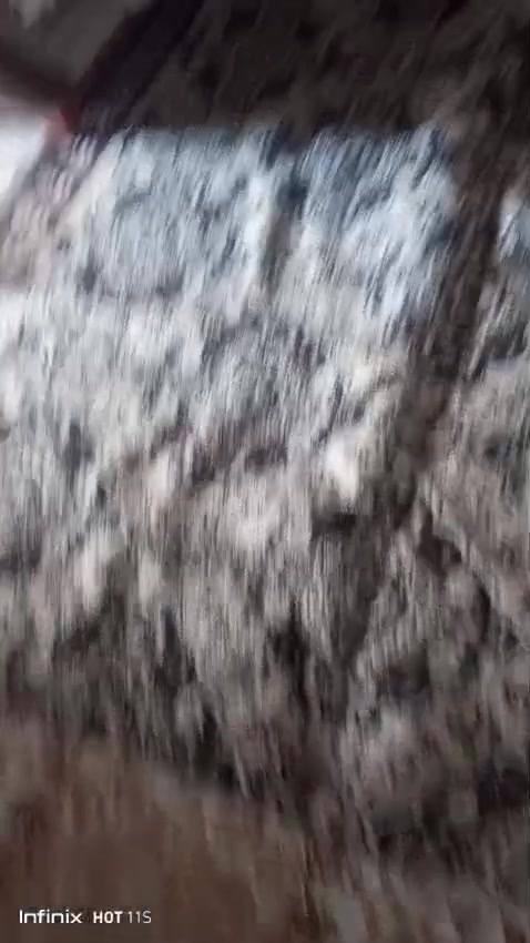 زوليه • عدد ٢ • كركوك