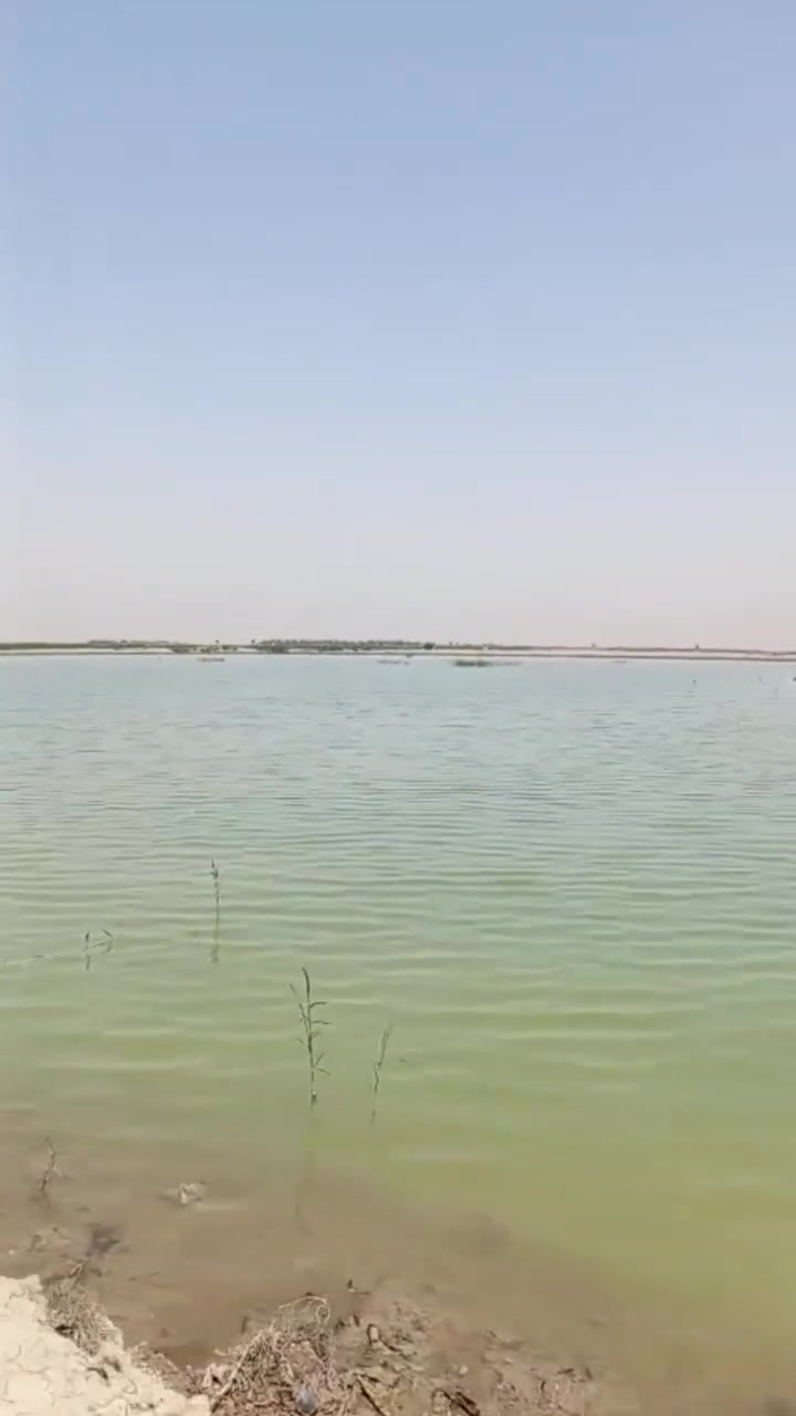 سلام عليكم ارض 165 دونم نص بحيرات ونص ارض عدله تسقي سيح طول السنه ماء كهرباء تبليط يبعد واحد كيلو سند 25 بسم شخص واحد العنوان ناحية اسكندريه شارع محكمة اسكندريه سعر الدونم 15مليون الاتصال ***********
