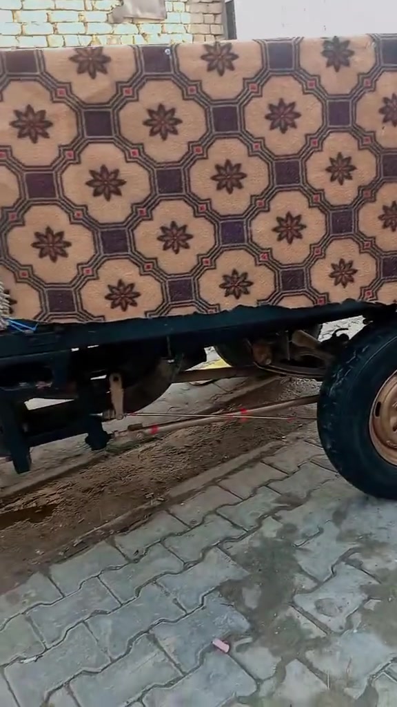 سلام عليكم ورحمة الله ستوته للبيع سلطان جاهزه من لطول للطول مكينه نعمه بدي تفصال گاعيه نضيفه تواير جدد شاصي مكفول بدون وراق مكفوله عشاير لا دخن لا تنقص مكينه ناعمه حلوهه المكان المجر الكبير رقم الهاتف *********** واتساب خاص مارد
