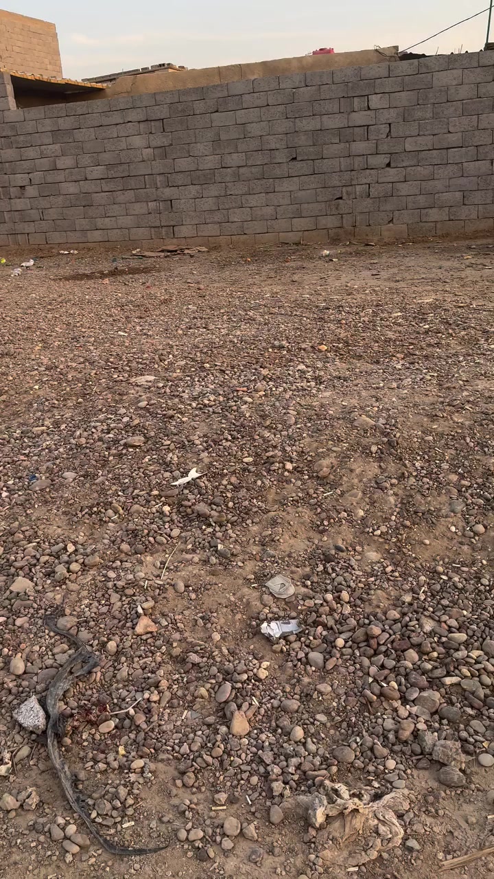 أرض • بغداد الجديدة • النعيرية