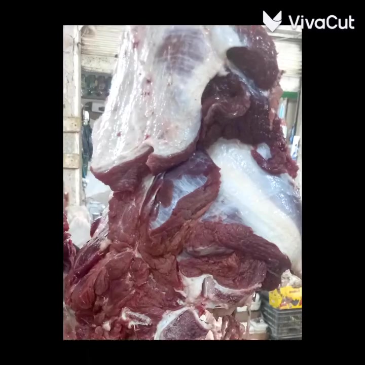طعم يمنه غير يوجد توصيل
***********
