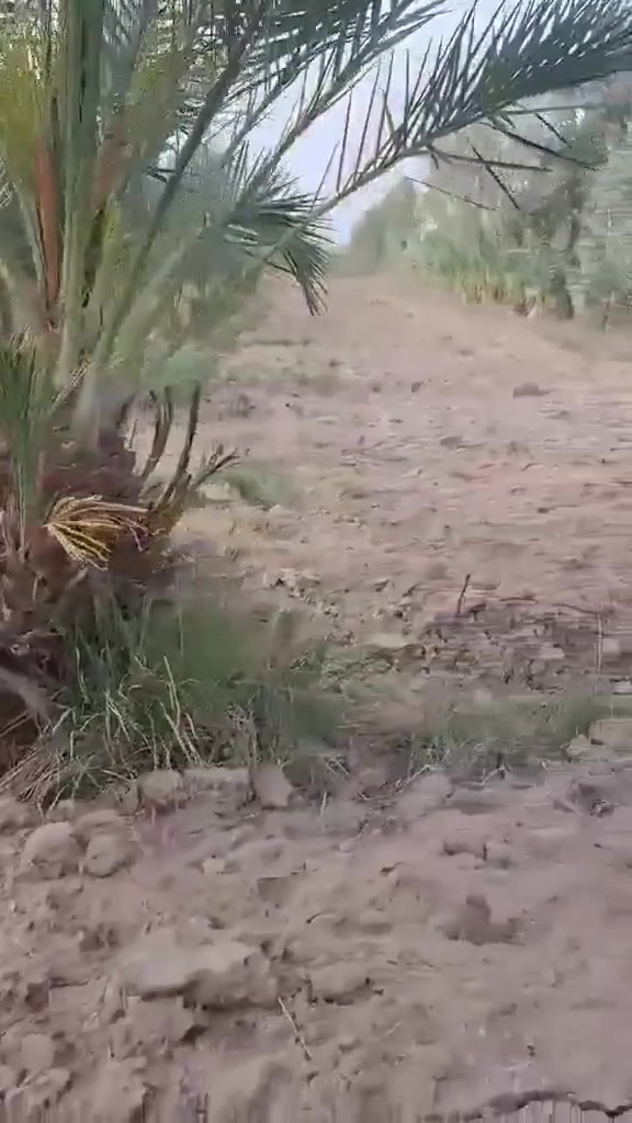 سلام عليكم ٦دونم اونص طابو سند ٢٥ وجهن٧٥متر   للبيع طريق كربلاء نجف طريق ياحسين عمود ١١٤١ وتنزل ٢ كيلومنطقه الجذارخدمات كامله شارع تبليط عرضه ١٢ متر  مي كهرباء خط مولد مدارس التفاصيل اكثر اتصل ***********
***********
