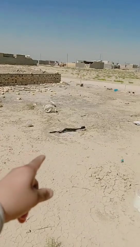 سلام عليكم
✅قطعتان للبيع بل سبل نزله ثانيه ما المدرسه
✅  لوجه20ونزال20
✅موجوده خدمات ماي كهرباء
✅رقم *********** بي وتساب
✅سعر مناسب للشراي
