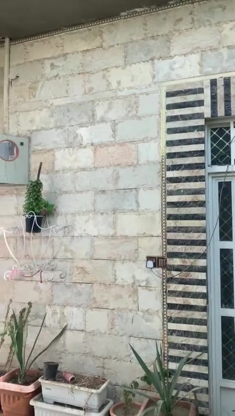 لبيت لبيع كوفه. شارع المعمل مقابيل مدرسه. سفير شارع اسواق ابن بوش البيت. طابقيت يحتوي على غرفتين وصاله فوك صاله جوه وستقبال ومطبخ جبير حمامات خارجية وداخليه البيت وجهيه مرمر وحجر الداخل كله سراميك وتغليف حجر دكورات  البيت درجه اولى مال جنايه  الاستفسار 

 بي واتساب الي حب يتفضل ***********。
