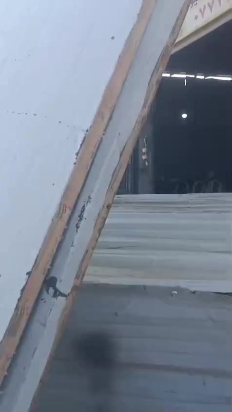 سندويج • ٢٫٥م • نجف