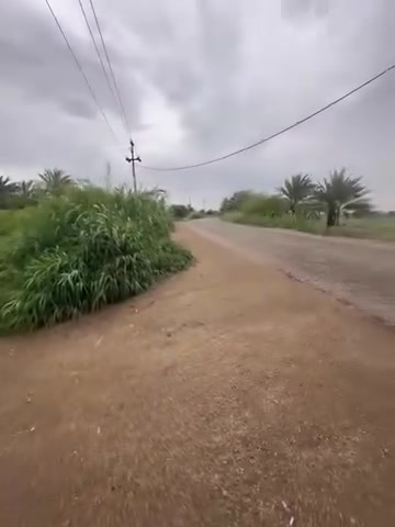 كاع طابو زراعي سند 25 بسمي شرط التحويل)(في واسط - قضاء - الزبيدية )
تبعد عن مركز المدينة -وعن( سيطرة السدة تقريباً ٤٠٠ م) محاديه لنهر دجله 

(( طريق سدة الجدول )) 

مساحة ١٨ دونم - وجه 28 م
 (بيهة خمسه ٥ بيوت )
ملاحضة؟ . البيوت تباع من ضمن الدوانم وذا تجزئه لا حسب التفاق))

(( طريق رسمي - حصة مائية + ماطور - كهرباء
تبليط - مستصلحة مزروعة - (( تحويل مباشر ))
((( محولة كهرباء خاصة في الكاع )))

(( تباع كاملة أو تجزئة دوانم ))
(( كما موضح في الفيديو ))

للاستفسار - *********** )) 
((واسط - قضاء - الزبيدية  ))

نص مكتوب في الصور:
- realme Shot on realme 9i ١٢:٢٠٠٩ -٠٤.٢٠٢٦