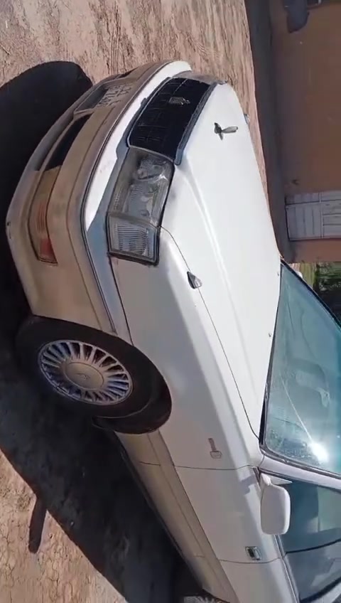 سلام عليكم للبيع راس ثور موديل ٩٦ مكينه وكير فيفيتي حداديه تخم تاير كرهبائيات كله جاهزه رقم بغداد باسمي سعر ٧٠ عنوان ناصريه شطره ***********
