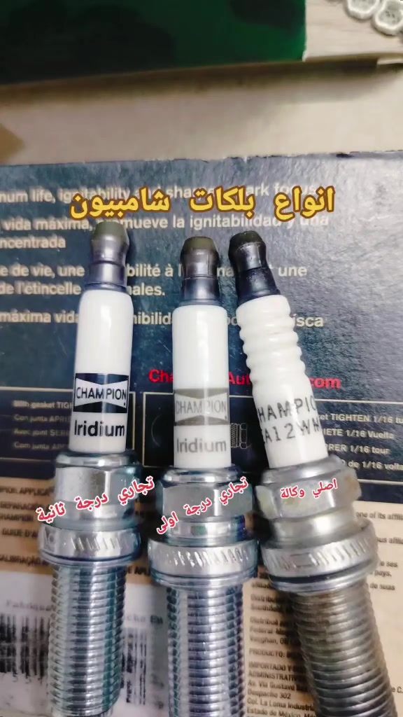 انواع بلكات شامبيون
....
