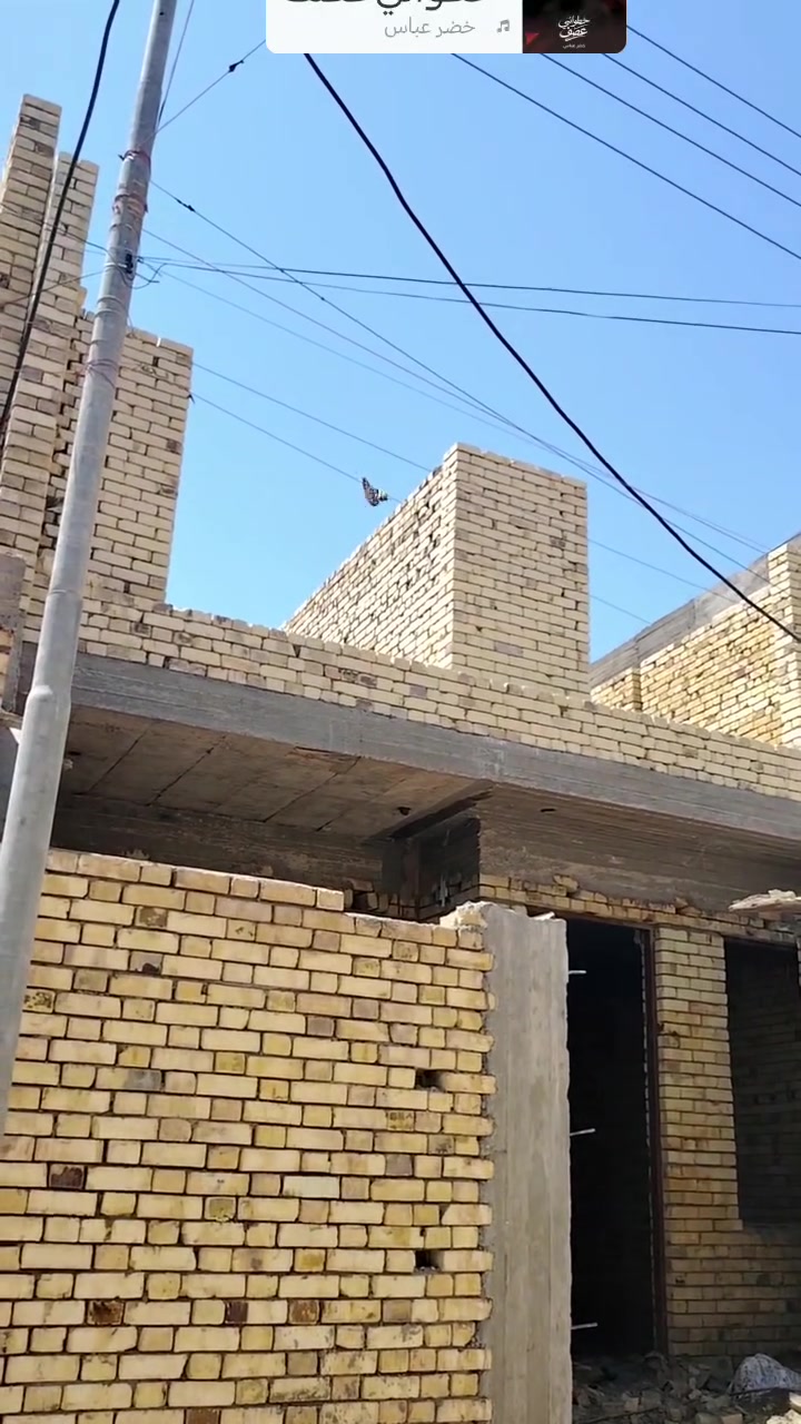 السلام عليكم الحمد لله رجعنا من الزياره خلف بناء درجه اولى شغل نظيف***********
