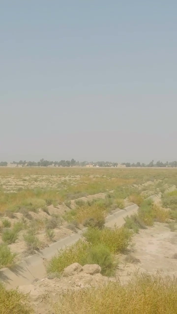 الديوانية عفك • ٣٢ دونم • سند ٢٥