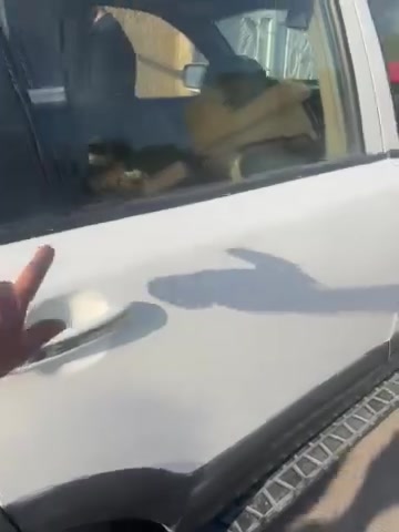 موهافي ٢٠١١ • فور ويل • منظومة غاز
