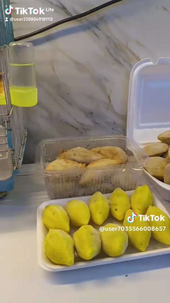بغداد • خدمات • بدون تفاصيل