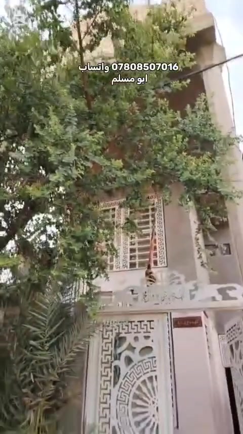 النجف النداء • ١٠٠م • طابو صرف