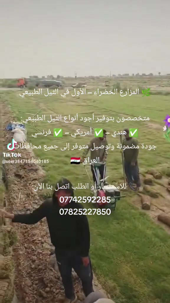 🌿 المزارع الخضراء – الأول في الثيل الطبيعي

متخصصون بتوفير أجود أنواع الثيل الطبيعي:
✅ هندي – ✅ أمريكي – ✅ فرنسي
جودة مضمونة وتوصيل متوفر إلى جميع محافظات العراق 🇮🇶

📞 للاستفسار أو الطلب اتصل بنا الآن:
***********
***********

