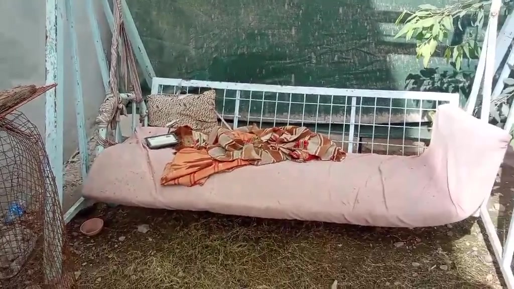 مرجوحه • زحلكونه • حي الملايين