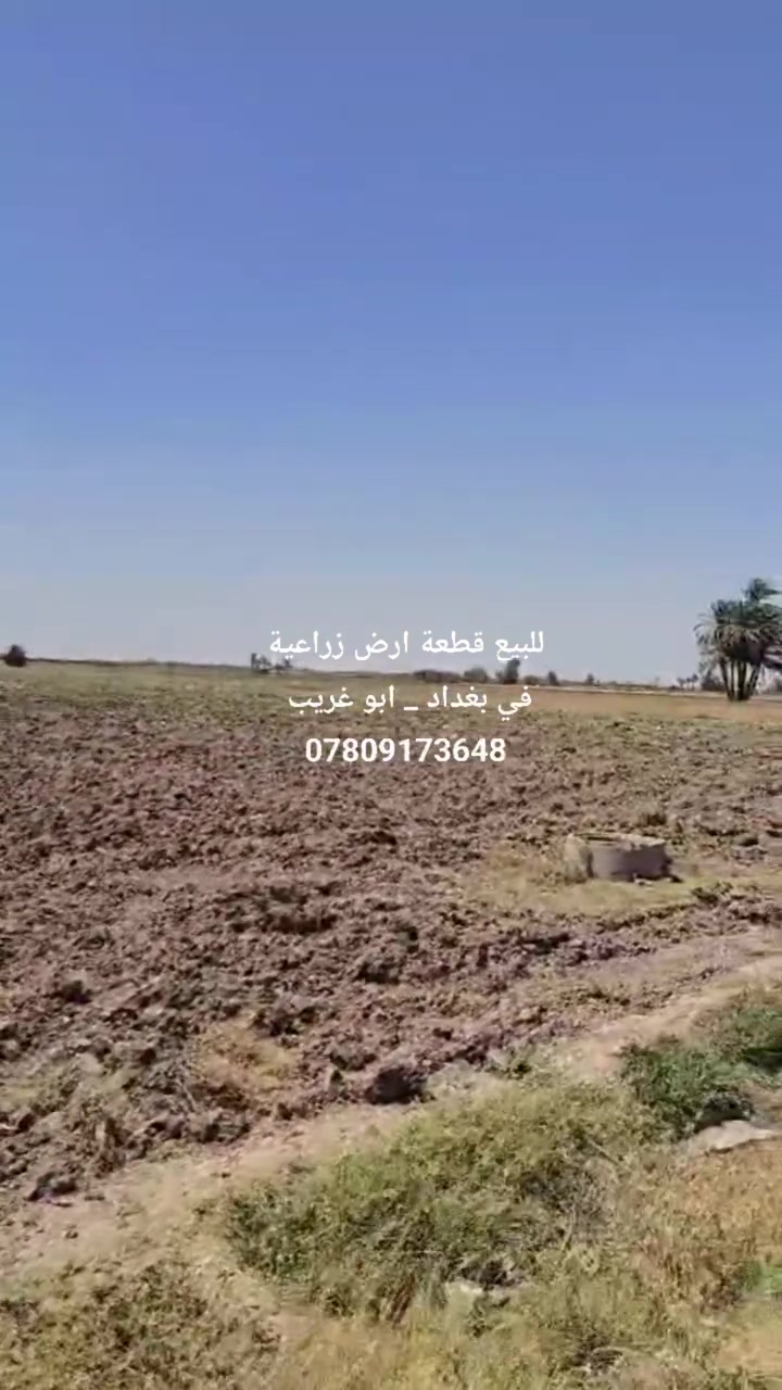للبيع قطع اراضي زراعية في بغداد _ ابو غريب وبغداد  _ الشيخ عامر قرب سبع البور وفي بغداد _ المدائن 
بأسعار متفاوتة حسب نوع السند وقربها عن الشارع العام والخدمات والمواصفات 
لمزيد من المعلومات يرجى الاتصال على مكتب اليوسف للعقار في المنصور 
***********
***********
موقع مكتب اليوسف للعقار على خرائط كوكل 
https://maps.app.goo.gl/dv5jcWjWaZmk3QdK9?g_st=ic
#عقارات #العراق #بغداد #عقارات_للبيع #شراء بناء ترميم اراضي_زراعية
