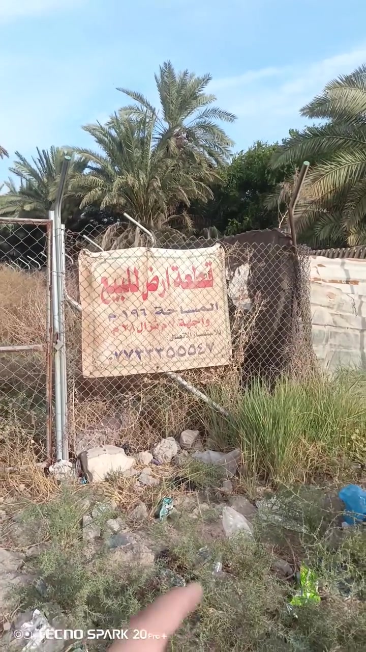 الشعله الدوانم • سند ٢٥ • ١٩٦م