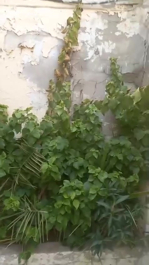 بيت للبيع
الموقع:
بغداد مدينة الصدر قطاع 5 قرب سوق الاولى 
و شارع الفلاح 
المساحة
72متر مربع
للأستفسار يرجى الاتصال ب الارقام الاتية
***********
