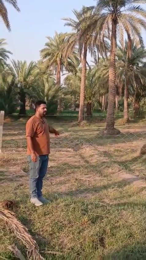 يالله 
السلام عليكم 
عرضنا لهذا اليوم مميز جدا وخدمات كامله ماء وكهرباء وتبليط 
المساحه 2100متر
موقع الارض حله منطقة الدسمة شارع الزوار 
طابو زراعي سند 25 
للاستفسار مراجعه مكتب هنا المستقبل 
***********
