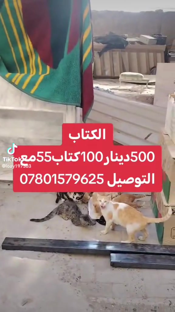 لا تفاصيل • متفرقات