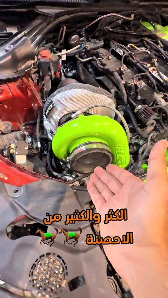 الفين حصان بفديو واحد  ‎ابو غريب *********** .......................... ‎‏‎‏‎‏‎جميلة  *********** .......................... ‎‏‎‏‎‏‎الغزالية  *********** ......................... ‎‏‎‏‎‏‎‏‎‏‎‏‎الاعظمية  *********** *********** ‎‏‎‏‎‏‎‏‎‏‎‏‎‏‎‏‎‏‎......................... ‎‏‎‏‎‏‎‏‎‏‎‏‎‏‎‏‎‏‎‏‎حي الجهاد  *********** *********** ‎‏‎‏‎......................... ‏‎‏‎‏‎‏‎‏‎‏‎‏‎‏‎‏‎‏‎‏‎‏‎ ‎‏‎‏‎‏‎‏‎‏‎‏‎‏‎‏‎‏‎‏‎‏‎‏‎‏‎‏‎‏‎‏‎المنصور  *********** ........................... ‎‏‎‏‎‏‎‏‎‏‎‏‎‏‎‏‎‏‎‏‎‏‎‏‎‏‎‏‎‏‎‏‎الدورة *********** .......................... ‎‏‎‏‎‏‎‏‎‏‎‏‎‏‎‏‎‏‎‏‎‏‎‏‎‏‎‏‎‏‎‏‎العامرية  *********** *********** ........................... ‎‏‎‏‎‏‎‏‎‏‎‏‎‏‎‏‎‏‎‏‎‏‎‏‎‏‎‏‎‏‎‏‎حي الاعلام   *********** ........................... ‎‏‎‏‎‏‎‏‎‏‎‏‎‏‎‏‎‏‎‏‎‏‎‏‎‏‎‏‎‏‎‏‎ شارع فلسطين  *********** *********** .......................... ‎‏‎‏‎‏‎‏‎‏‎‏‎‏‎‏‎‏‎‏‎‏‎‏‎‏‎‏‎‏‎‏‎بسماية  *********** .......................... ‎‏‎‏‎‏‎الطالبية  *********** *********** .......................... ‎‏‎‏‎‏‎‏‎‏‎‏‎‏‎‏‎‏‎‏‎‏‎‏‎‏‎‏‎‏‎‏‎الكرادة *********** *********** .......................... ‎‏‎‏‎‏‎‏‎‏‎‏‎‏‎‏‎‏‎‏‎‏‎‏‎‏‎‏‎‏‎‏‎نفق الشرطه  ***********  *********** .......................... ‎‏‎‏‎‏‎‏‎‏‎‏‎‏‎‏‎‏‎‏‎‏‎‏‎‏‎‏‎‏‎‏‎الفلوجة *********** *********** .......................... ‎‏‎‏‎‏‎‏‎‏‎‏‎‏‎‏‎‏‎‏‎‏‎‏‎‏‎‏‎‏‎‏‎كركوك 1 *********** ‎‏‎‏‎***********‏‎‏‎‏‎‏‎‏‎‏‎‏‎‏‎‏‎‏‎‏‎‏‎‏‎‏ ‎‏‎‏‎‏‎‏‎‏‎‏‎‏‎‏‎‏‎‏‎‏‎‏‎‏‎‏‎‏‎‏‎كركوك 2    *********** .......................... ‎‏‎‏‎‏‎‏‎‏‎‏‎‏‎‏‎‏‎‏‎‏‎‏‎‏‎‏‎‏‎‏‎الحلة  *********** .......................... ‎‏‎‏‎‏‎‏‎‏‎‏‎‏‎‏‎‏‎‏‎‏‎‏‎‏‎‏‎‏‎‏‎ بعقوبة  *********** ......................... ‎‏‎‏‎‏‎‏‎‏‎‏‎‏‎‏‎‏‎‏‎‏‎‏‎‏‎‏‎‏‎‏‎الموصل ‏‎‏‎‏‎‏‎‏‎‏‎‏‎ ***********  .......................... ‎‏‎‏‎‏‎‏‎‏‎‏‎‏‎‏‎‏‎‏‎‏‎‏‎‏‎‏‎‏‎‏‎اربيل  *********** ......................... ‎‏‎‏‎‏‎‏‎‏‎‏‎‏‎‏‎‏‎‏‎‏‎‏‎‏‎‏‎‏‎‏‎كربلاء  *********** *********** .......................... ‎‏‎‏‎‏‎‏‎‏‎‏‎‏‎‏‎‏‎‏‎‏‎‏‎‏‎‏‎‏‎البصرة *********** *********** ‎‏‎‏‎‏‎‏‎‏‎‏‎‏‎‏‎‏‎‏‎‏‎‏‎‏‎‏‎‏‎‏‎#الحسام_موطن_الزيوت_الاصلية
