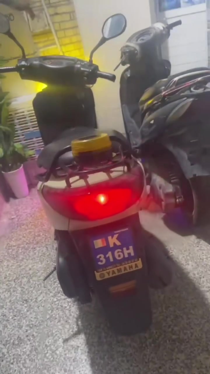 بريز • نضيفه • سلف
