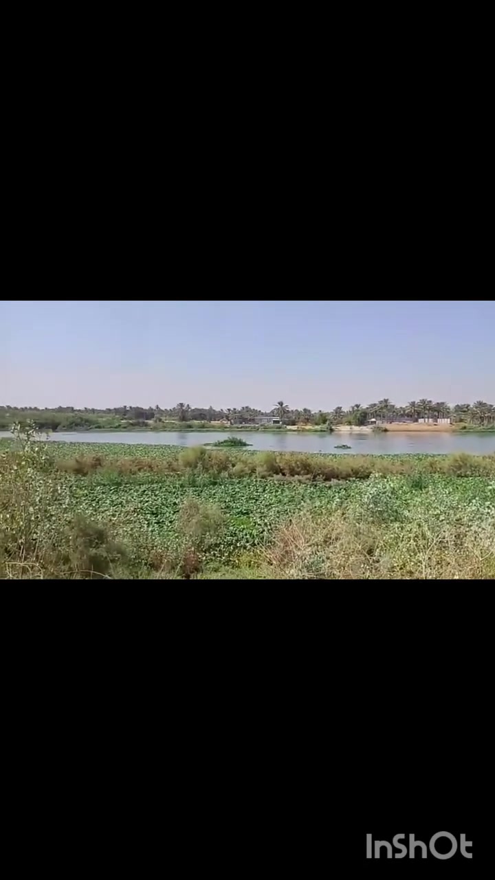 طابو زراعي • سند ٢٥ • كربلاء طوريج على الشط