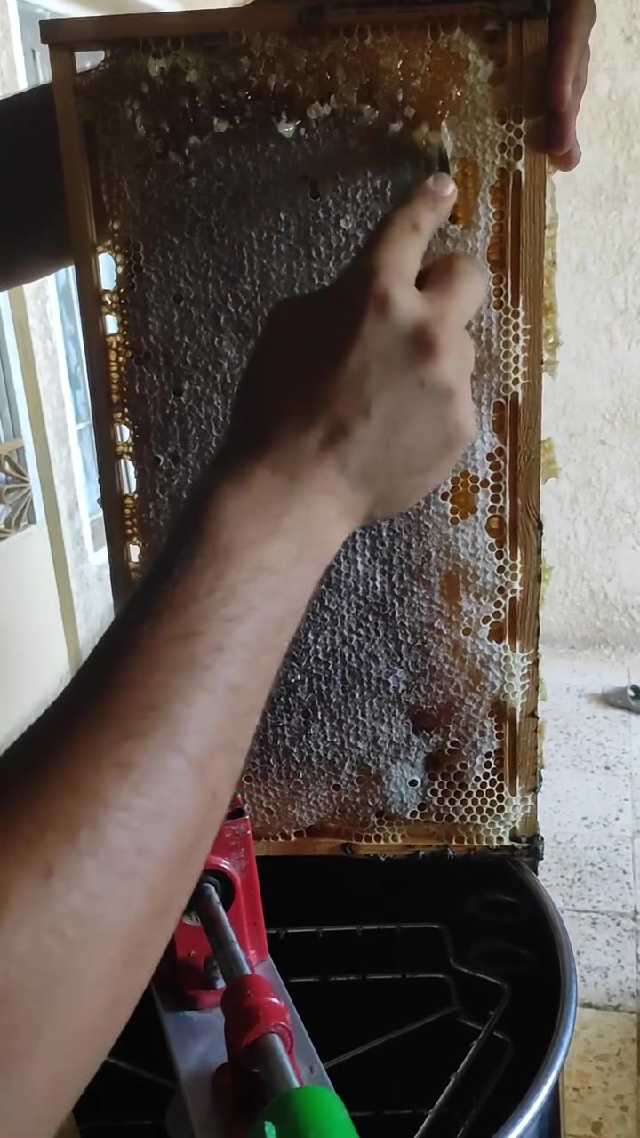 السلام عليكم على بركة الله يتوفر عسل طبيعي خالص امانة الله ورسول لاتغذيه ولاسكر ولاشيره ابد فرز جديد مال اليوم والناس اخذت مني وتعرف مصداقيتي موجود عسل متعدد الازهار برسيم وجت وشوكيات وكالبتوز سعر خاص ***********هذا الرقم بي واتساب مكاني واسط النعمانية
