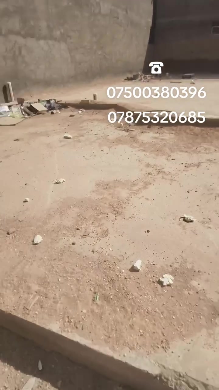 لا توجد تفاصيل
