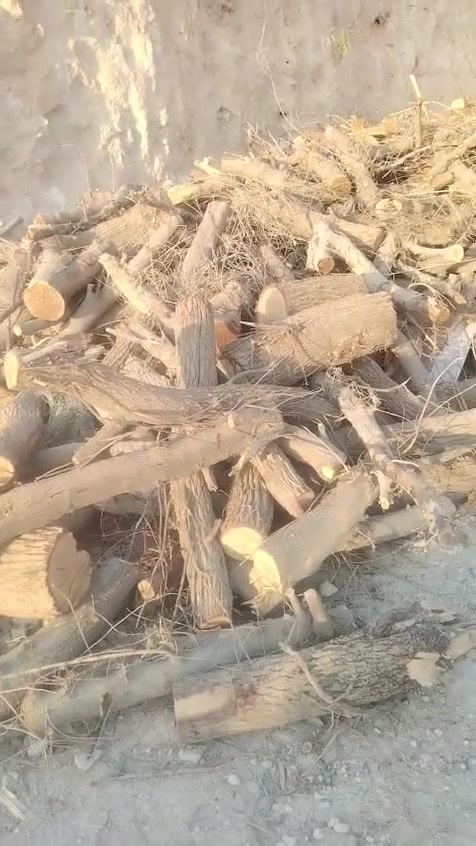 يوجد حطب للبيع *********** اتصل
