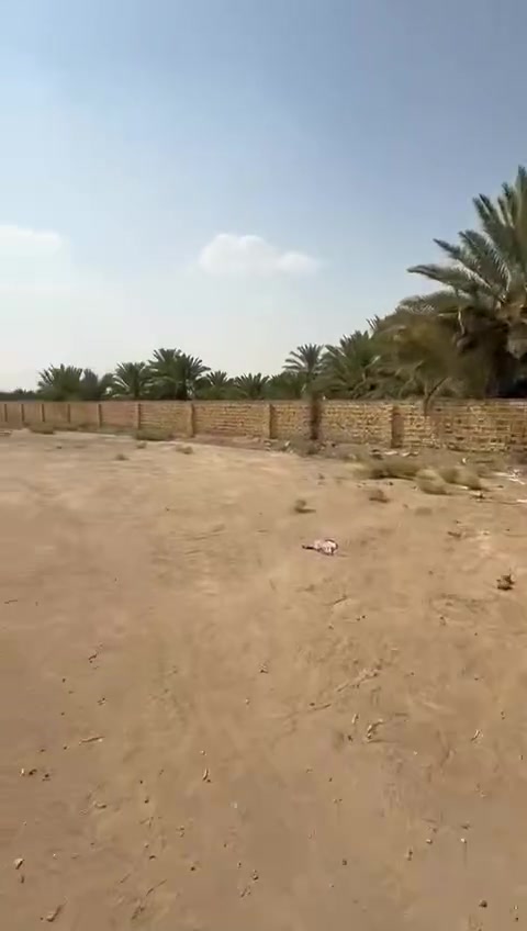 النجف الأشرف • طابو زراعي • ١٧٠٠م