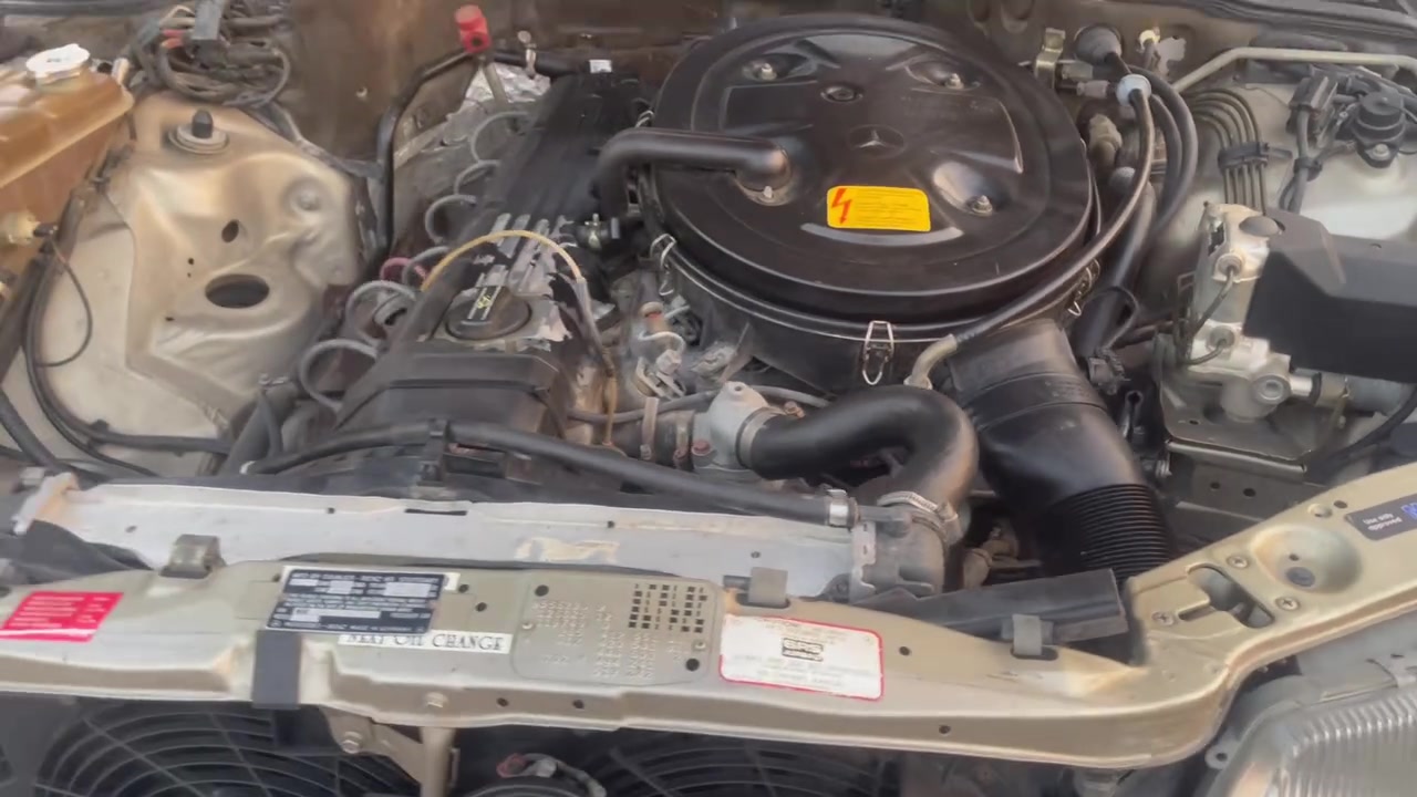 بسم الله الرحمن الرحيم 🤍
من رخصة الأدمن المحترم

🚘 مرسيدس جامبو SEL 300 للبيع

📌 الموديل: 1991
📌 السنوية والتكمة: أصلي 91
📌 الأرقام: دولية
📌 السنوية: لحد 2031
📌 الممشى: 77 ألف كم حقيقي

🔥 السيارة جديدة وبلادية، أكرر جديدة وبلادية
كانت منفيس ومكفولة من القص واللحيم.

✨ المواصفات:
• غرفة جلد
• جامات كهرباء
• كشنات كهرباء
• أريل كهرباء
• سلايد روف
• دبل مروحة راديتر
• مسجل وراديو بلادي شركة
• تحكم سرعة
• تبريد بيانو ثلج والله ❄️
• كلشي بيها بلادي وأصلي

😍 السيارة مرتبة وتحفة ونصبة تخبل، ونظافتها تبين من أول نظرة.

💰 السعر: 150$ وبيها مجال بسيط
  اعادة 
النشر بسبب الوعود الكااااذبه 
📍 مكان السيارة: بغداد

📞 الهاتف: ***********
