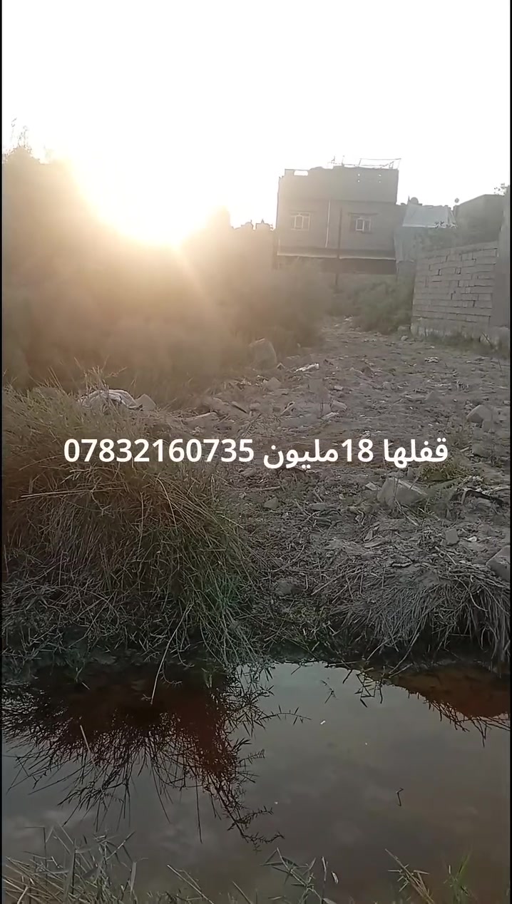 ملك صرف • ١٩٠م • بستان بيت صالح