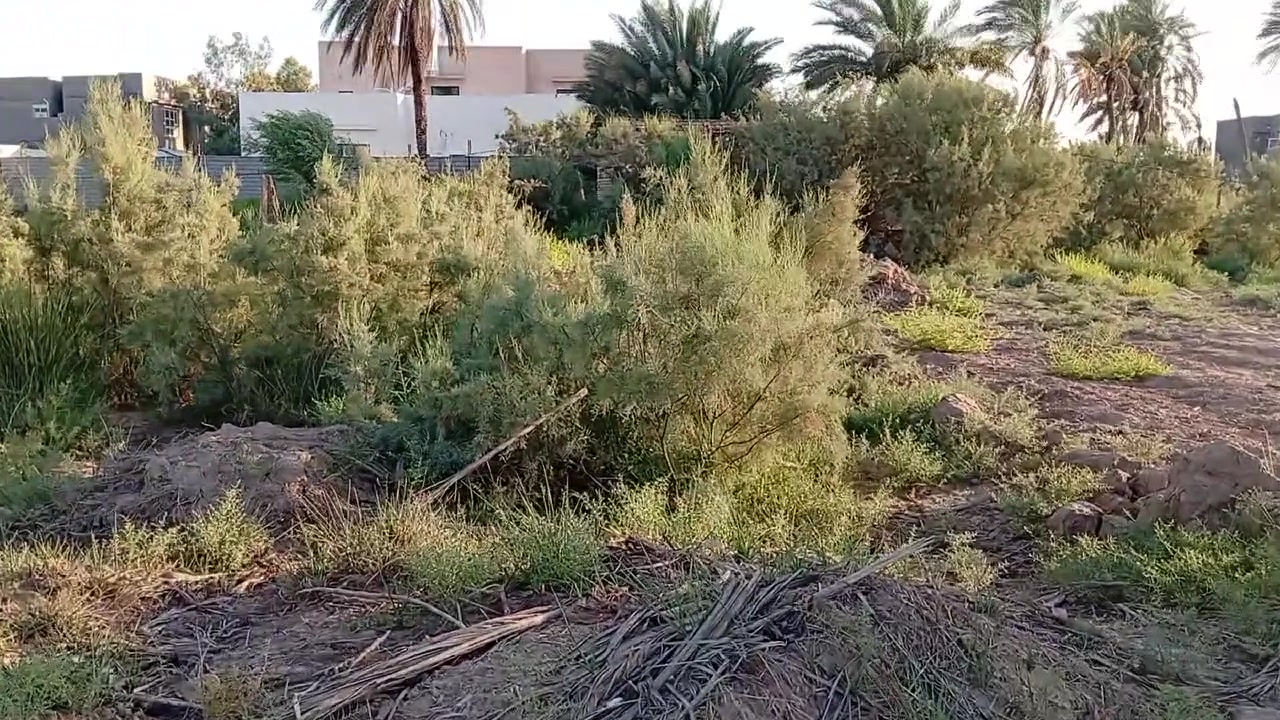 يا الله قطعه اللبيع مساحه 100 متر سند 25 واجهه 5 ونزال 20 متر مكان كربلاء طويريج ع قطع ***********
