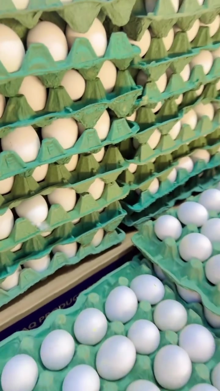 ب 3750 طبقه بيض عراقي درجه اولى. 🥚🐓
عنوان بلد باب الخان سوك المخضر .📍*********** 📞
#العراق_السعودية_قطر_الامارات_الكويت_البحرين_اليمن_الخليج_سوريا_مصر_لبنان_الجزائر_تونس_المغرب #بغداد_بصرة_موصل_كربلاء_اربيل_نجف_الكوت_السماوة_تكريت_ديالى_حلة_نجف_الانبار_ديوانية #فضل #ملك #العروض
