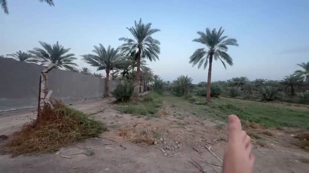 دونم • السوامرة • وجه٥٠
