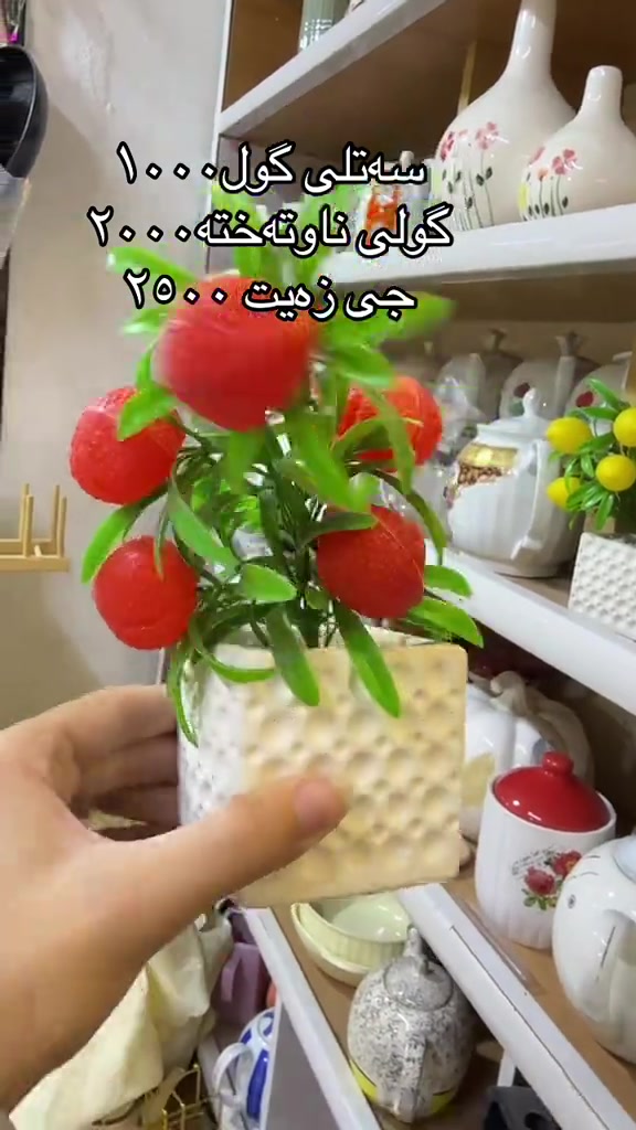 سلیمانی کەنەسورە • سه تلی گول • گولی ناوتە خته